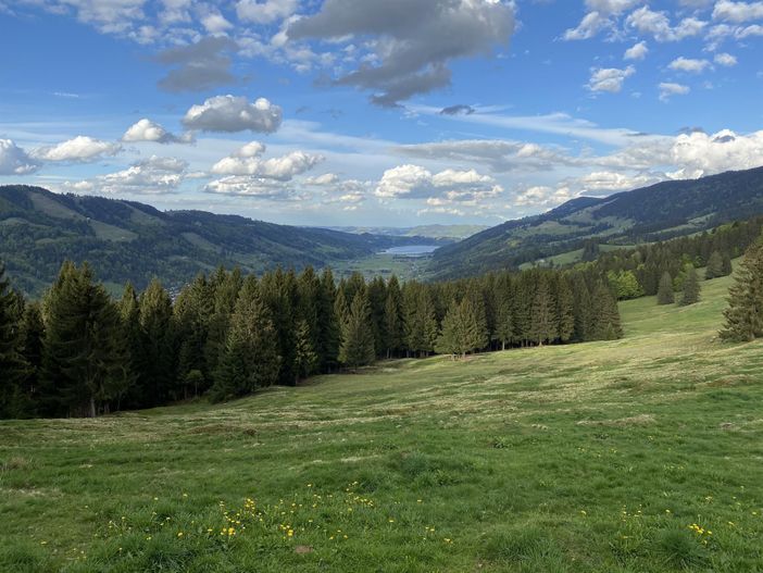 Blick auf Alpsee vom Gipfelkreuz Hündle ohne Mensc