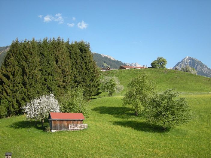 Balkonaussicht FeWo Sommer