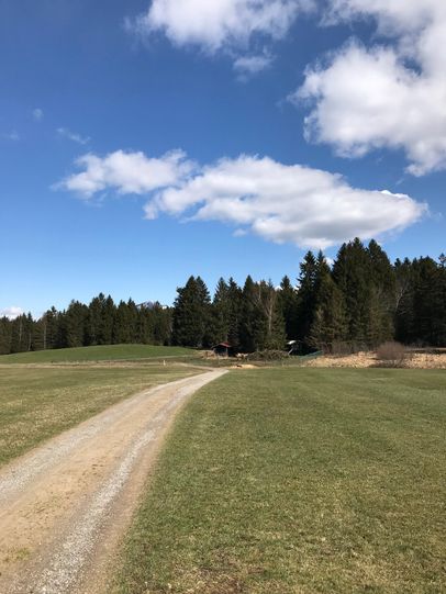 Der Weg führt über grüne Wiesen und Wälder