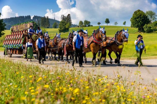 Allgäuer Brauhaus_Pferdezug