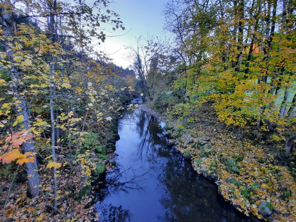 Klausenmühle Argen Herbst