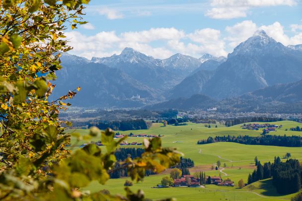 Blick auf das Alpenpanorama und zum Schloss Neuschwanstein