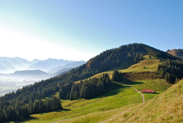 Blick von Ofterschwanger Horn auf Fahnengehren Alpe und Sigiswanger Horn-Ofterschwang