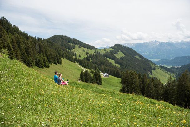 Blick über die Alpe Hinteregg in die Berge