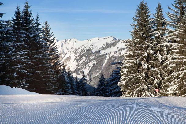 Märchenwiese - Skigebiet Ofterschwang-Gunzesried