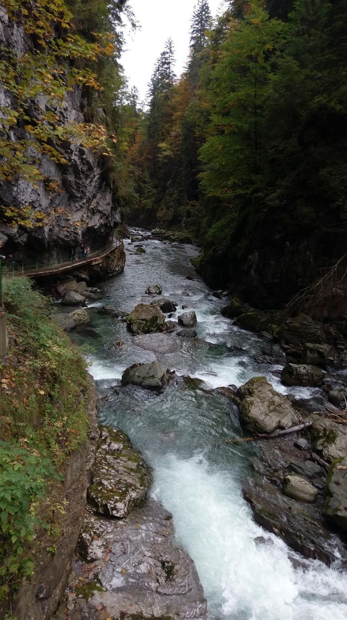 Breitachklamm