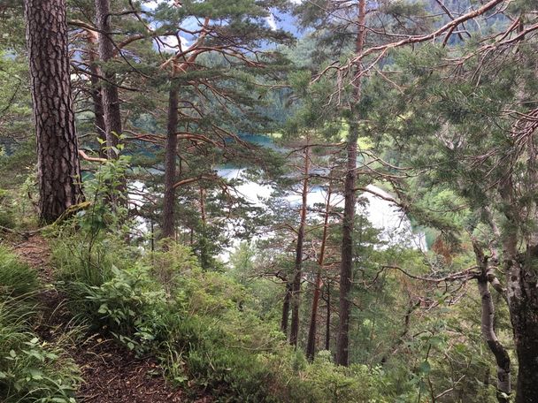 Blick auf den Alatsee vom Zwei Seen Blick