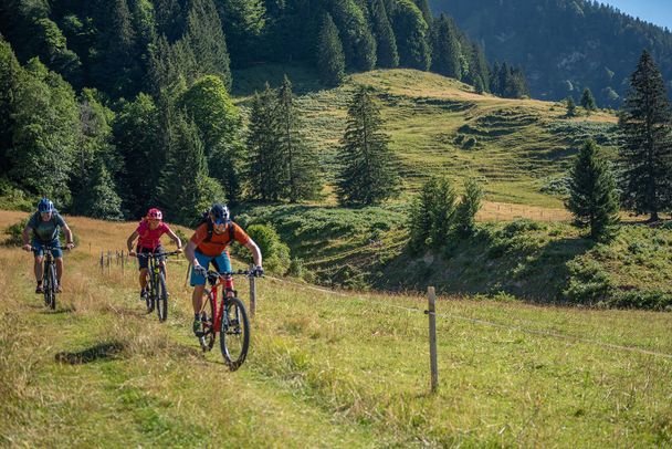 Wiesenpfad vor der Kuhschwand Alpe