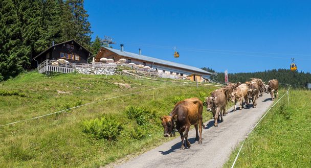 Sennalpe Ornach - Bolsterlang