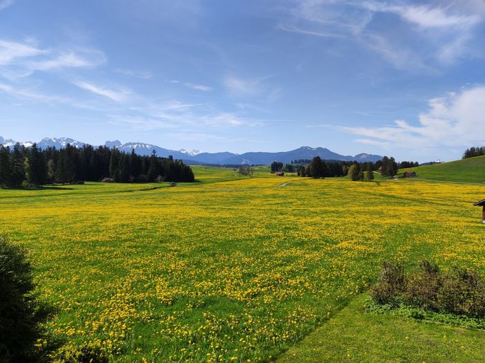 Aussicht im Frühling