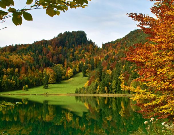 Herbst am Alatsee