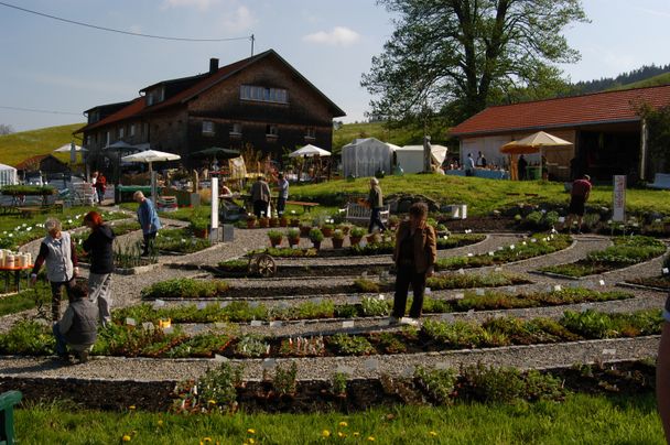 Artemisia Allgäuer Kräutergarten I