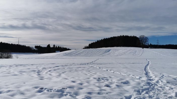 Winter in Nieratz