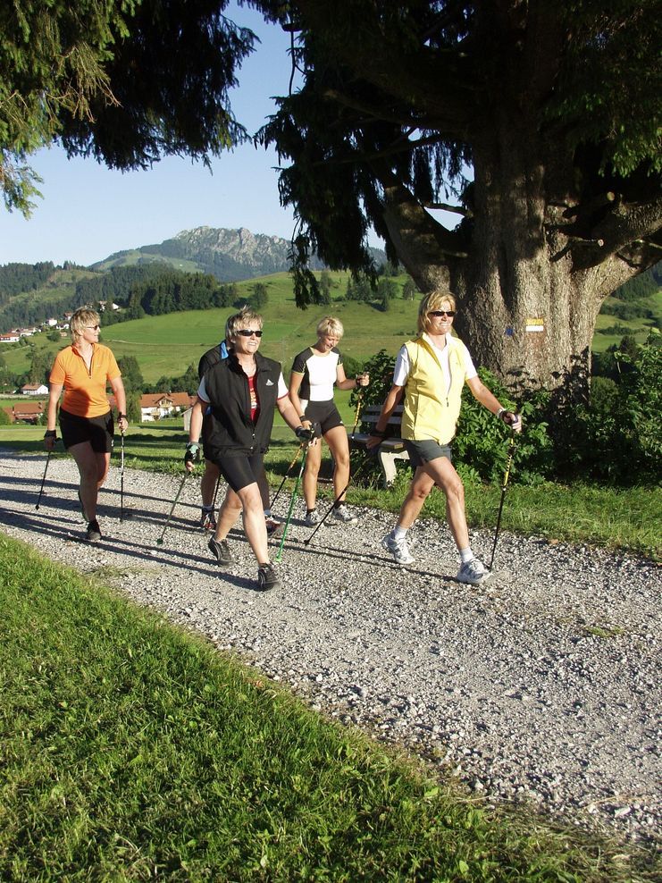 Nordic Walking am Grünen Pfad