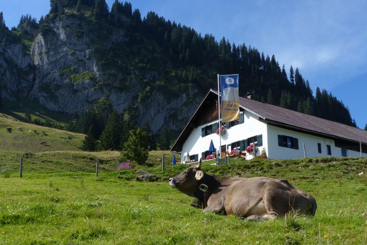 Alpe Schönberg