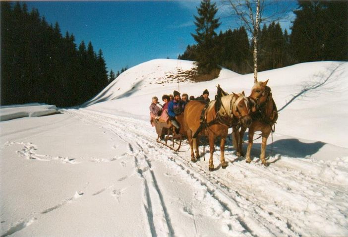 Pferdeschlittenfahrt/Ratholz