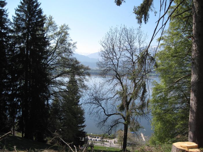 Haus Käs-Karl Blick von der Burg Hopfen