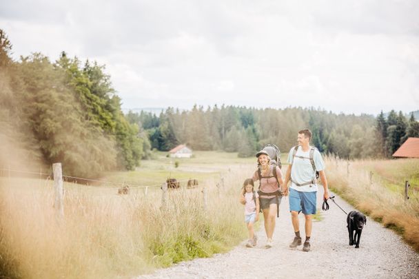 Familie auf dem Premiumspazierwanderweg Moor & Wurzeln