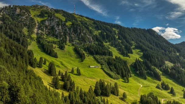 Blick auf den Grünten