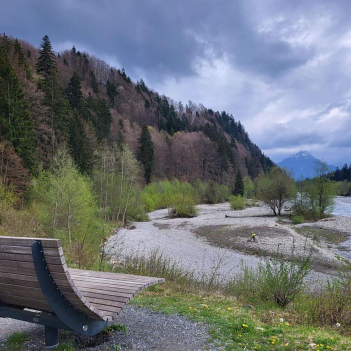 Auwaldsee und Iller