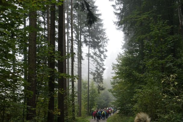 Pilger wandern auf dem Jakobusweg