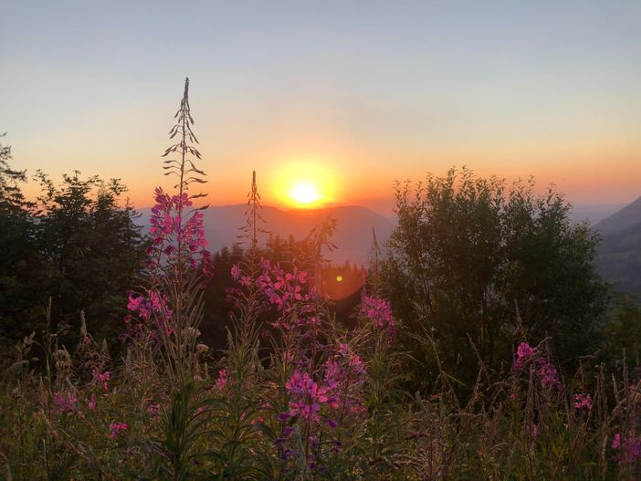 Imberger Horn - Abendstimmung