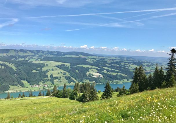 Blick oberhalb Starkatsgund zum Alpsee