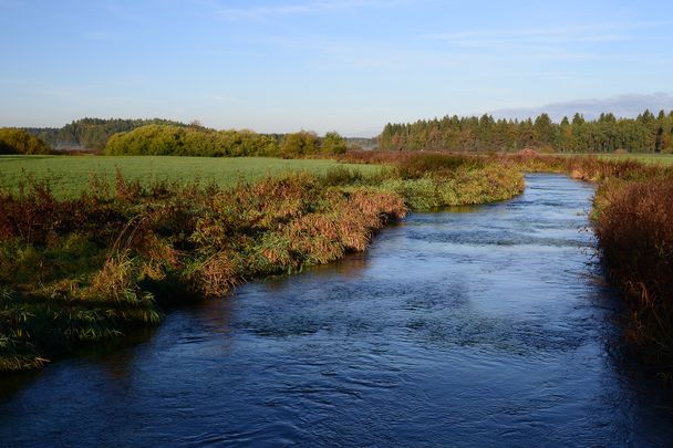 Isny Naturschutzgebiet Rotmoos