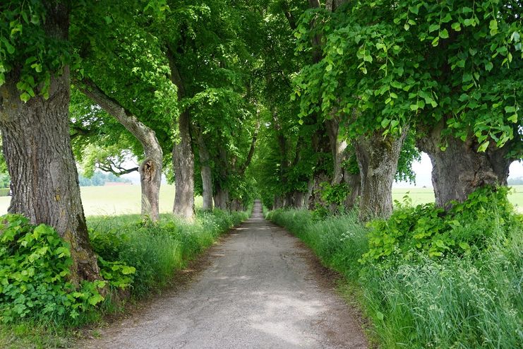 Kurfürstenallee Marktoberdorf