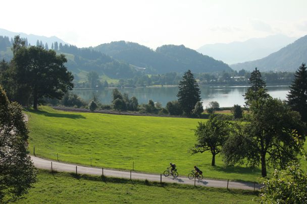 Am Alpsee