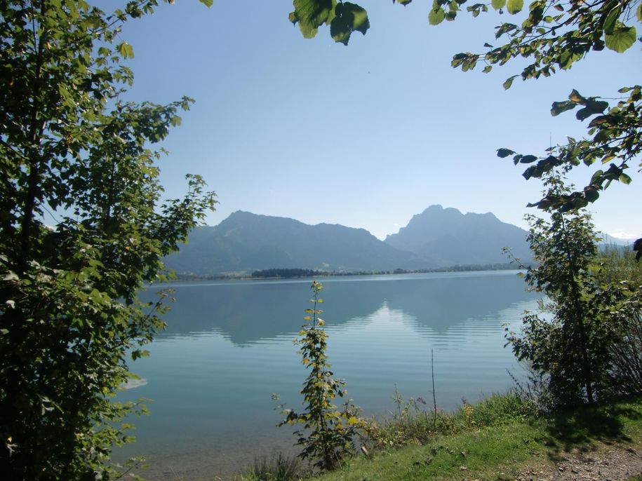 Forggensee im Sommer