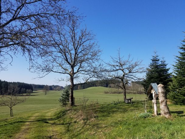 Weiche Wiesenwege bei Reischmann