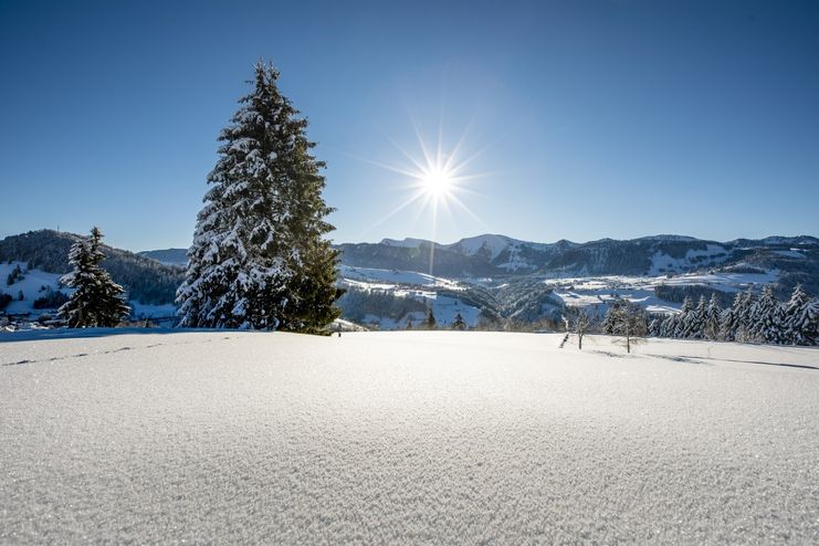 Traumhafter Wintertag in Oberstaufen