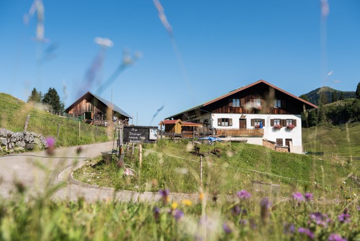 Alpe Dinjörgen bei Obermaiselstein im Lochbachtal