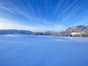 Winterwunderland rund um den Ferienhof Stiefel