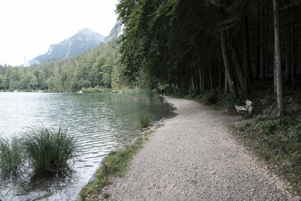 Alpsee-Rundweg direkt am See