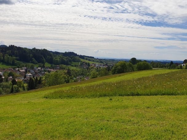 Blick zum Bodensee