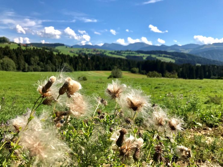 Blick von Irsengund