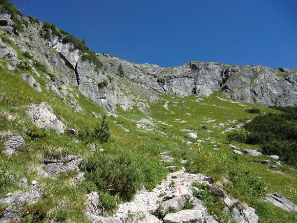 Auf der Zuwegung zur Schwarzenberghütte