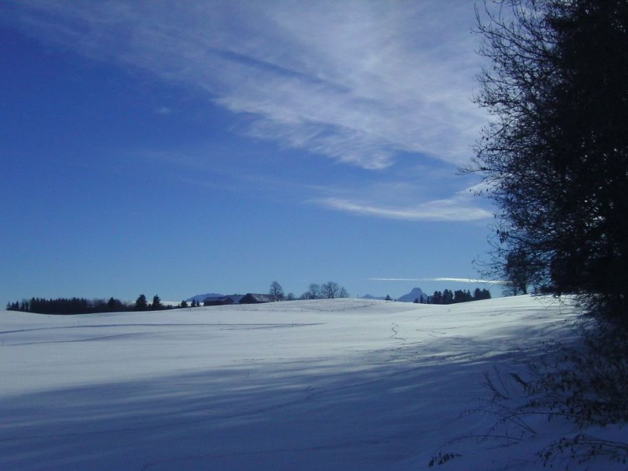 Winterlandschaft