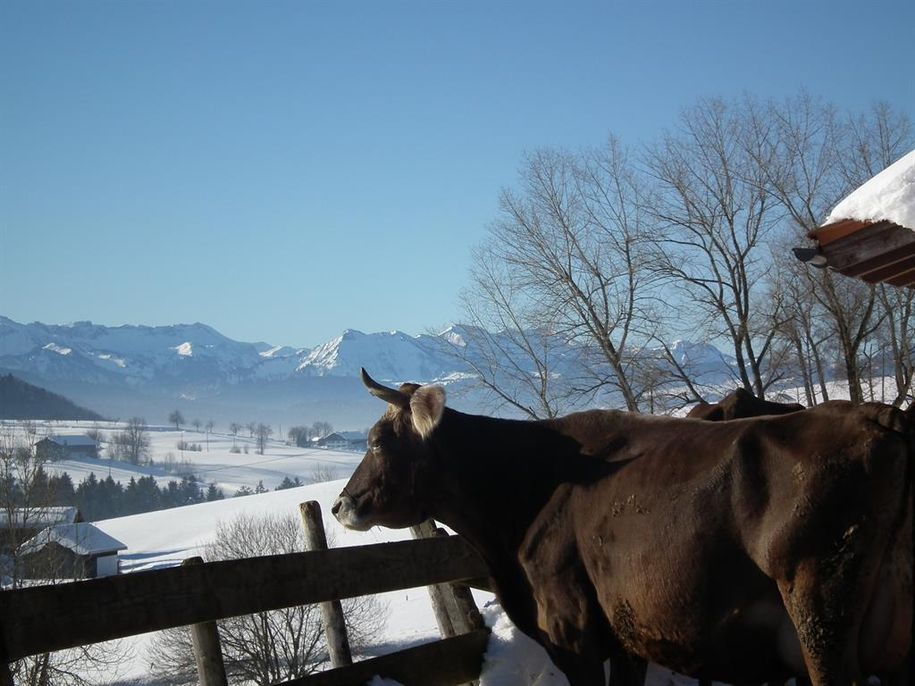 Blick vom Dachfenster