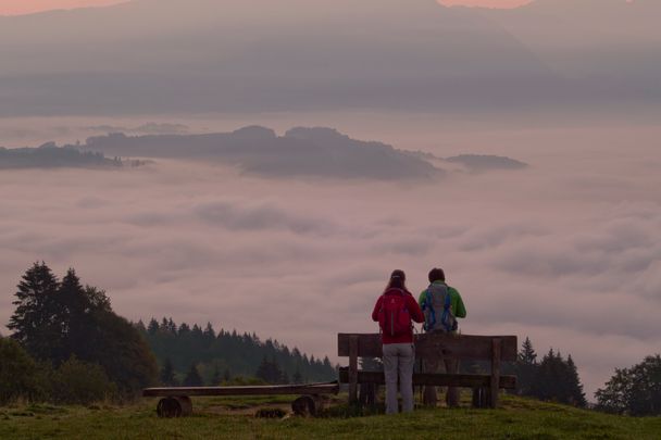 Blick über den Alpsee oberhalb von Immenstadt bei Obheiter