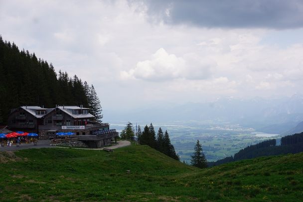 Blick in den Schlosspark