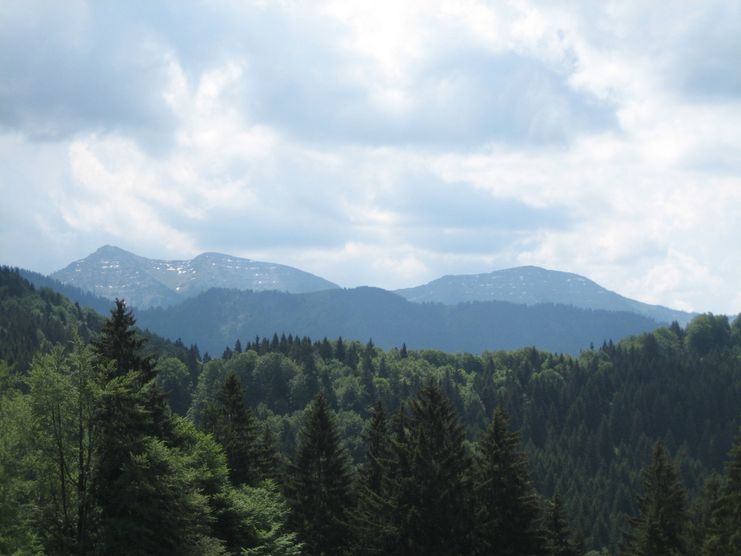 Aussicht zum Hochgrat