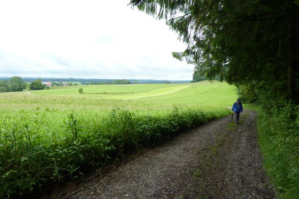 Aufstieg auf den Beurener Berg