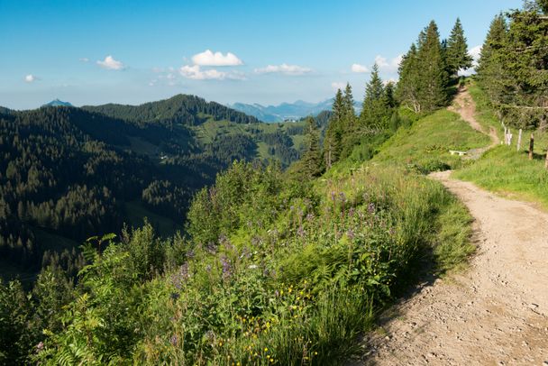 Auf dem Weg zum Riedberger Horn