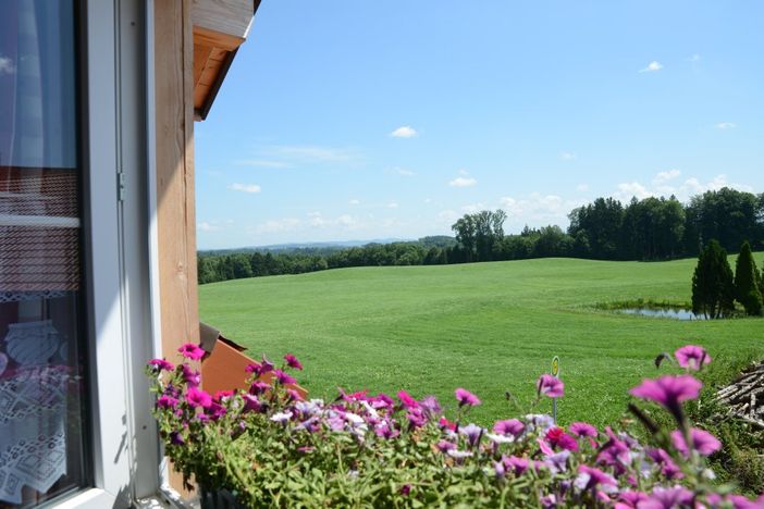 blick aus küchenfenster Ferienwohnung blumenwiese