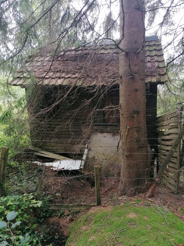 Hütte vom Holzweible?