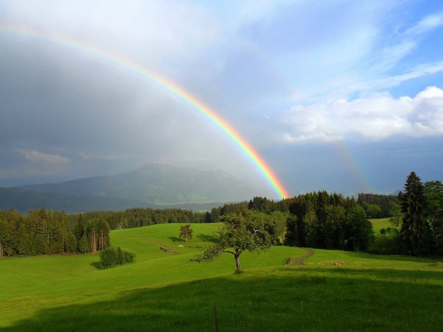 regenbogen