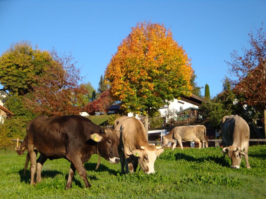 Sonnenbaden im Herbst